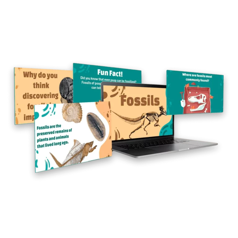 HKDP Website Graphics 2 1 1
